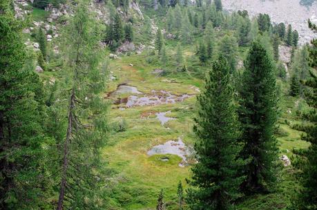 ALTA VIA DEL GRANITO: seconda tappa - su, giù, per di qua, per di là