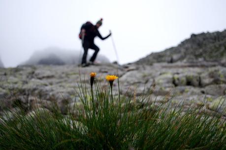 ALTA VIA DEL GRANITO: seconda tappa - su, giù, per di qua, per di là