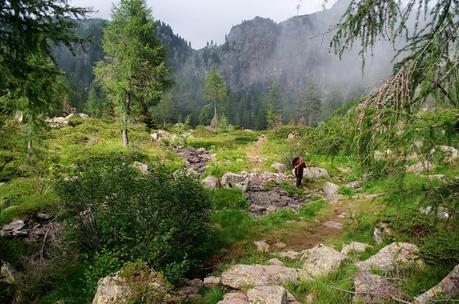 ALTA VIA DEL GRANITO: seconda tappa - su, giù, per di qua, per di là