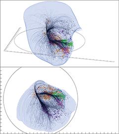 Due prospettive del superammasso Laniakea. La superficie esterna mostra la regione dominata dalla gravità di Laniakea. Crediti: SDvision interactive visualization software by DP at CEA/Saclay, France.