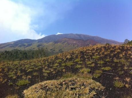 Etna - Sicilia, Italia