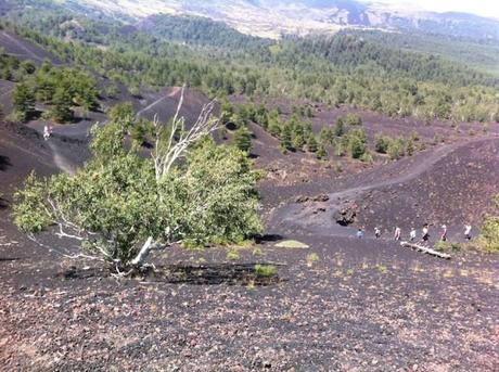 Etna - Sicilia, Italia