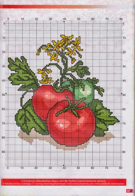 Raccolta di schemi a punto croce- frutta e verdura