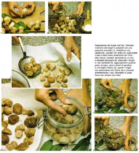 Come conservare i Funghi funghi,olio,aceto,marinata,marinati,sale,chiodini,porcini,prataioli