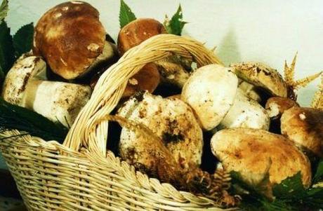 Funghi porcini trifolati Funghi porcini trifolati