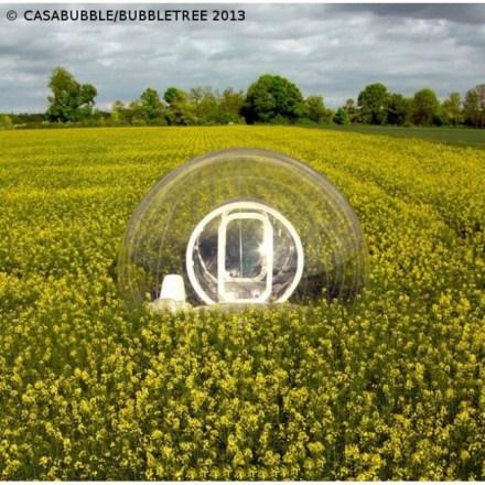 casa cristal bubble