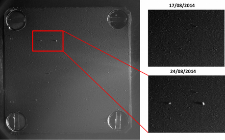 A sinistra un’immagine del pannello sul quale sono stati raccolti i granelli. A destra lo stato del pannello il 17 agosto quando i ricercatori lo hanno trovato immacolato e sotto il l’immagine del 24 agosto, quando aveva raccolto i granelli che sono evidenziati dall’ombra del led che li illumina. La risoluzione dell’immagine è di 14 micron per pixel. Credit: ESA/Rosetta/MPS for COSIMA Team MPS/CSNSM/UNIBW/TUORLA/IWF/IAS/ESA/ BUW/MPE/LPC2E/LCM/FMI/UTU/LISA/UOFC/vH&S 
