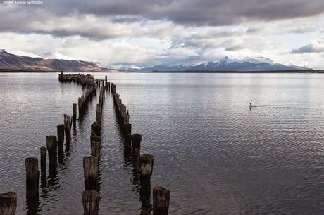 Patagonia d'inverno