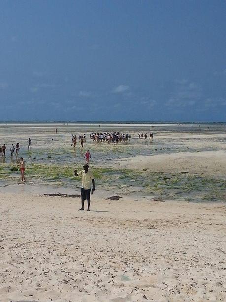 Kenya Yetu! Prima volta in Africa. Watamu, Malindi, Mombasa. Safari Tsavo Est, Ngutuni santuary.