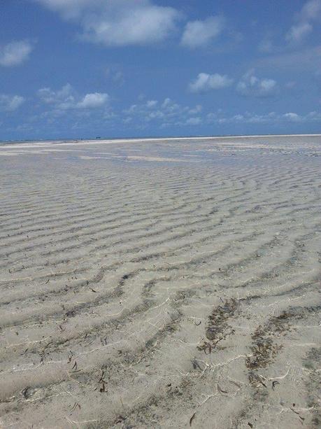 Kenya Yetu! Prima volta in Africa. Watamu, Malindi, Mombasa. Safari Tsavo Est, Ngutuni santuary.