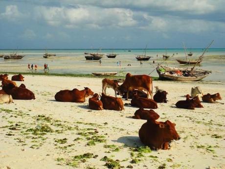 Zanzibar, Tanzania