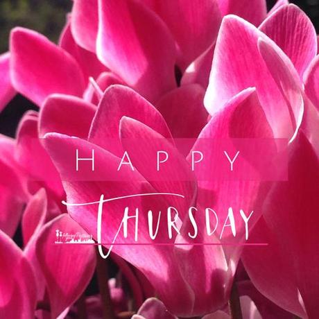 happy-thursday-feautured