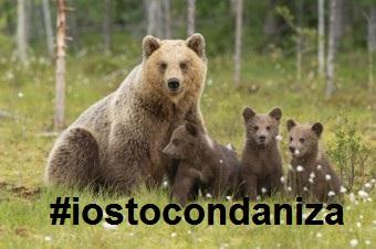 #iostocondaniza: polemiche per Bruno Vespa e dimissioni per il Ministero dell'Ambiente