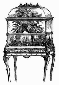 Flowers for the Victorian Parlour: Wardian cases.