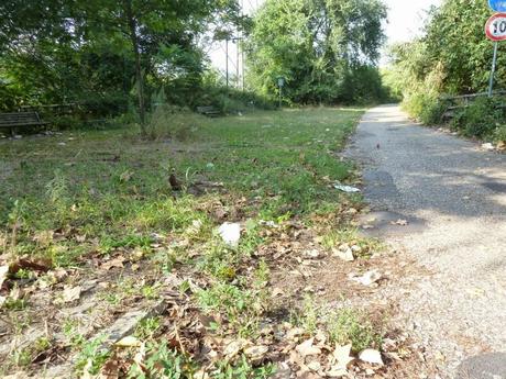 Ma quale sindaco ciclista!? Le ciclabili sono luoghi semplicemente horror, anche complicati da raccontare per come sono ridotti. Ecco tante foto da Montesacro Ma quale sindaco ciclista!? Le ciclabili sono luoghi semplicemente horror, anche complicati da raccontare per come sono ridotti. Ecco tante foto da Montesacro