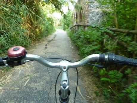 Ma quale sindaco ciclista!? Le ciclabili sono luoghi semplicemente horror, anche complicati da raccontare per come sono ridotti. Ecco tante foto da Montesacro Ma quale sindaco ciclista!? Le ciclabili sono luoghi semplicemente horror, anche complicati da raccontare per come sono ridotti. Ecco tante foto da Montesacro