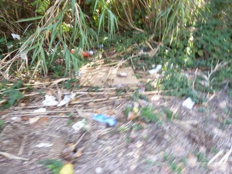 Ma quale sindaco ciclista!? Le ciclabili sono luoghi semplicemente horror, anche complicati da raccontare per come sono ridotti. Ecco tante foto da Montesacro Ma quale sindaco ciclista!? Le ciclabili sono luoghi semplicemente horror, anche complicati da raccontare per come sono ridotti. Ecco tante foto da Montesacro