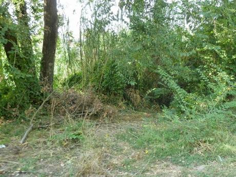 Ma quale sindaco ciclista!? Le ciclabili sono luoghi semplicemente horror, anche complicati da raccontare per come sono ridotti. Ecco tante foto da Montesacro Ma quale sindaco ciclista!? Le ciclabili sono luoghi semplicemente horror, anche complicati da raccontare per come sono ridotti. Ecco tante foto da Montesacro