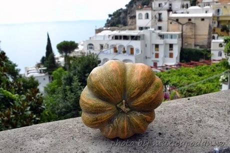 Zucca buona e bella ... la fine tua sarà ...  in padella