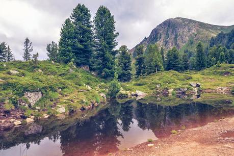 CON ME ALLA SCOPERTA DEL TRENTINO [ PICCOLE GUIDE IN FOTOGRAFIE ®]