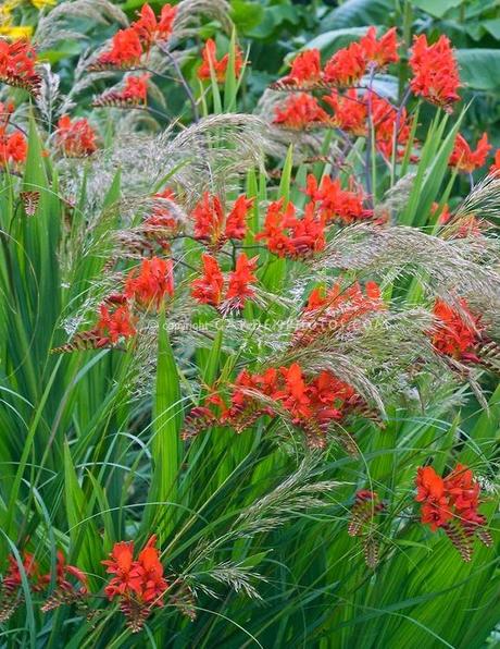 6 Things That Inspired Me .. in giardino. 6 Things That Inspired Me .. in giardino.