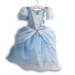 Cinderella Costume