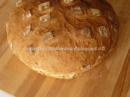 Pagnotta rustica con 1 gr di lievito di birra secco attivo Pagnotta rustica con 1 gr di lievito di birra secco attivo