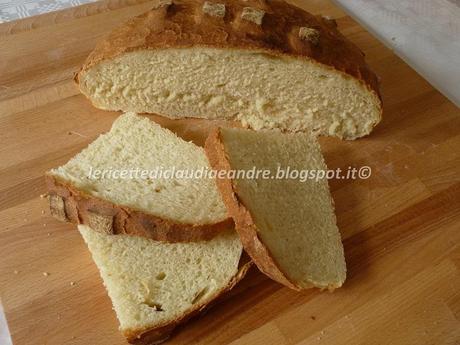 Pagnotta rustica con 1 gr di lievito di birra secco attivo Pagnotta rustica con 1 gr di lievito di birra secco attivo