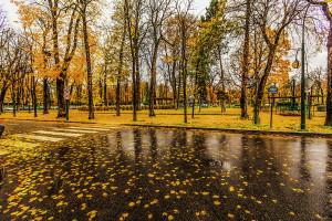 Parigi in autunno. Fonte Foto: wikimedia commons