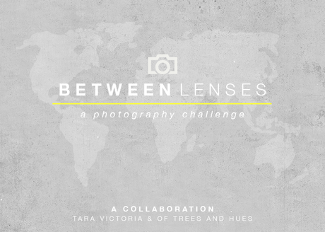 Between lenses // Silenzio [Settembre]