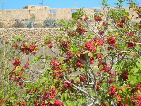 Lampedusa_viaggiandovaldi