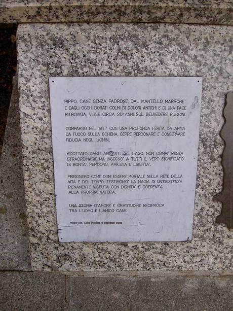 Torre del Lago Puccini- una mattina fuori dal tempo Torre del Lago Puccini- una mattina fuori dal tempo