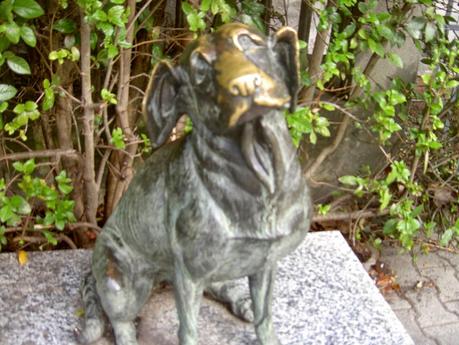 Torre del Lago Puccini- una mattina fuori dal tempo Torre del Lago Puccini- una mattina fuori dal tempo