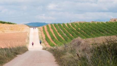 @Gianfranco Budano: Spagna, luglio 2014 - sul Cammino di Santiago