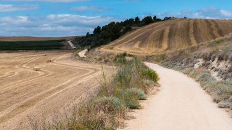 @Gianfranco Budano: Spagna, luglio 2014 - sul Cammino di Santiago