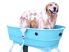 Booster Bath Dog - copertina