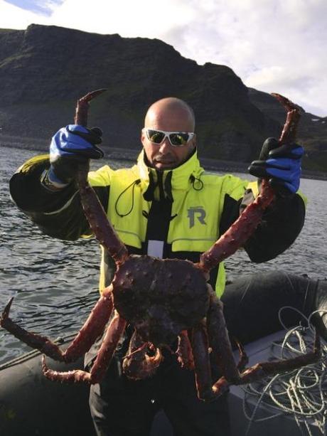 King Crab Safari - Norvegia