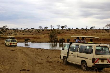 safari in kenya di quattro giorni tsavo ovest