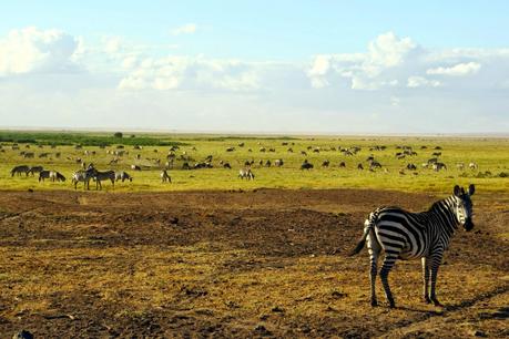 safari in kenya di quattro giorni amboseli