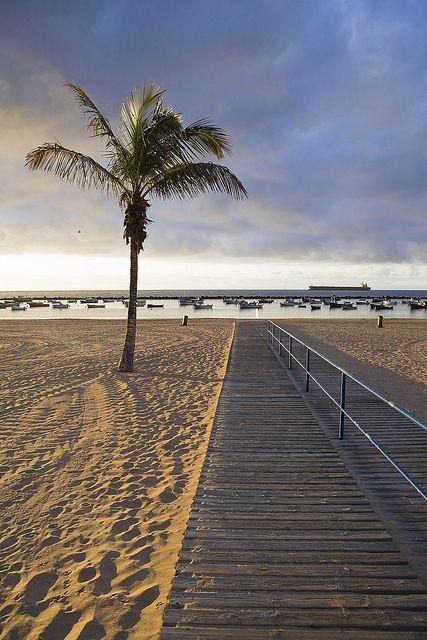 Playa de las Teresitas, Santa Cruz Tenerife (foto Turismo de Tenerife)