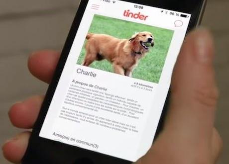 Grandi. Sul sito di incontri (Tinder) ... adotta un cane :-)