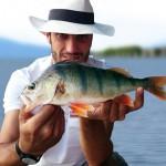 Torta, caffé e Persico Reale pietro invernizzi persico reale lago