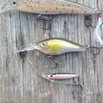 Torta, caffé e Persico Reale Rapala e metal jig