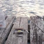 Torta, caffé e Persico Reale Escaltion di esche...