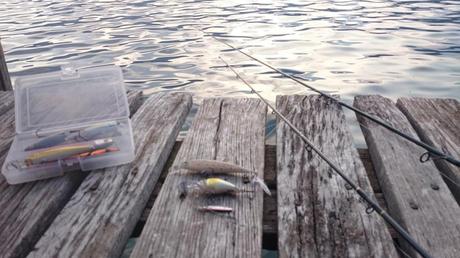 Torta, caffé e Persico Reale Escaltion di esche...