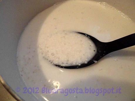 07-latte di coccoe tapioca