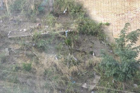 Tornati mille volte gli accampamenti, nonostante mille ridicoli sgomberi. Quindici foto da Valle Aurelia e Monte Ciocci