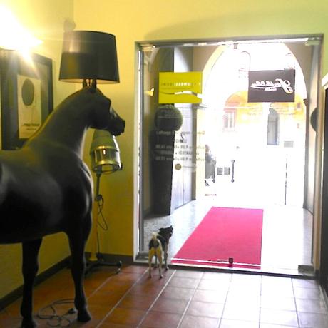 I BRUNELLESCHI FOR MY MFW SAMSUNG CSC