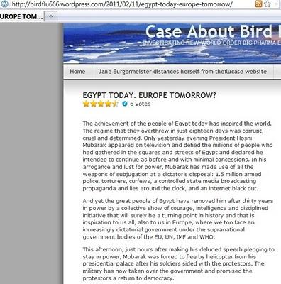 Jane Burgermeister e Massimo Mazzucco prendono un grosso abbaglio sulla cosiddetta rivolta d'Egitto