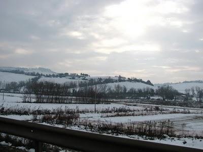 NELLA SUA ATMOSFERA DI MADREPERLA - ASCOLI - FRITTATA AI CARCIOFI